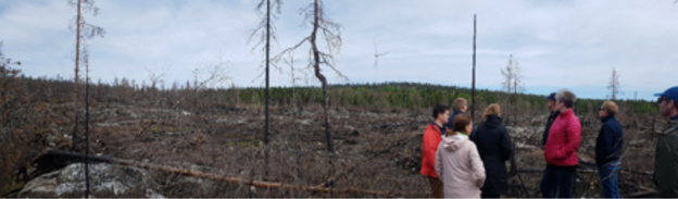 Øki har skógareldur herjaði á sumri í fjør.