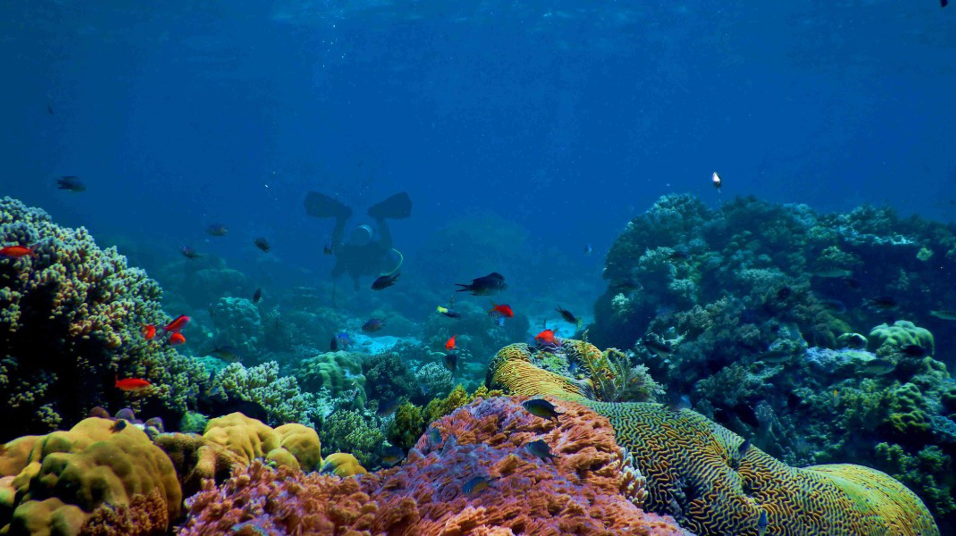 Law of the sea.jpg