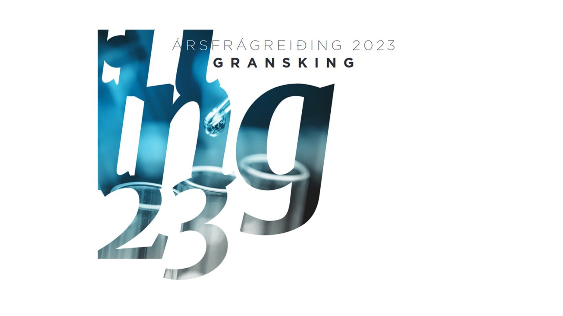 Ársfrágreiðing Gransking 2023 Mynd Av Forsíðu